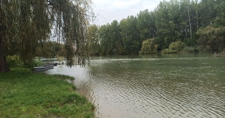 Szigetközi túrák 2026