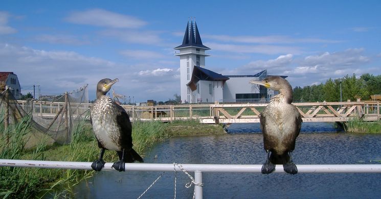 Tisza-tavi Ökocentrum születésnapi rendezvény 2026 Poroszló