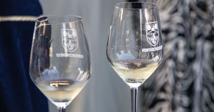 Bor- és Csemegeszőlő Fesztivál 2026 Vonyarcvashegy 