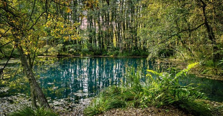 Tatai  Fényes Tanösvény - Ökotúra a  vadregényes láperdőben