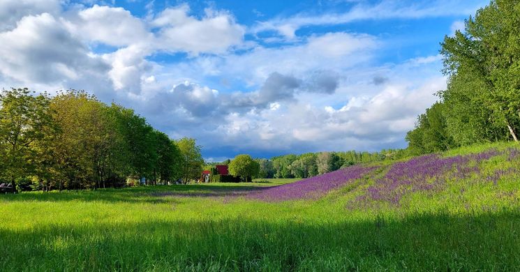 Ásványrárói programok 2026 - Események és rendezvények