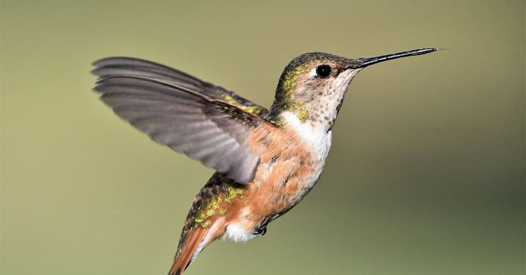 Természetfotó kiállítás Szekszárd 2026