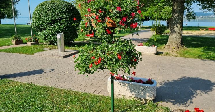 Balatonfűzfő programok 2025. Események, rendezvények, fesztiválok