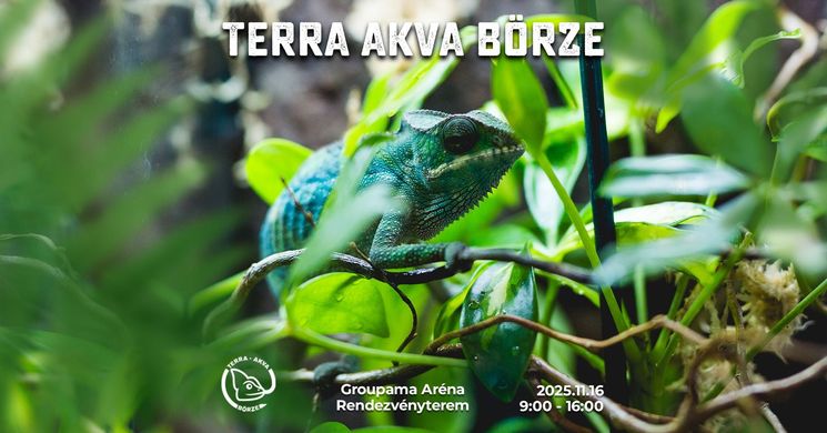 Terrarisztikai Börze 2025 Budapest. Terra-Akva Börze egzotikus állatok, terrarisztika, akvarisztika