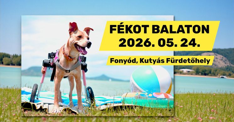 Kutyás nap 2026 - Programok, események, rendezvények