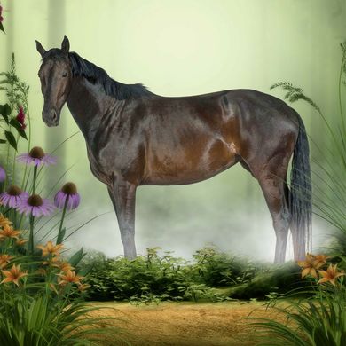 Interaktív kiállítás gyerekeknek Budapest 2026 - Fortélyos küldetés kiállítás és játék a Vajdahunyadvárban