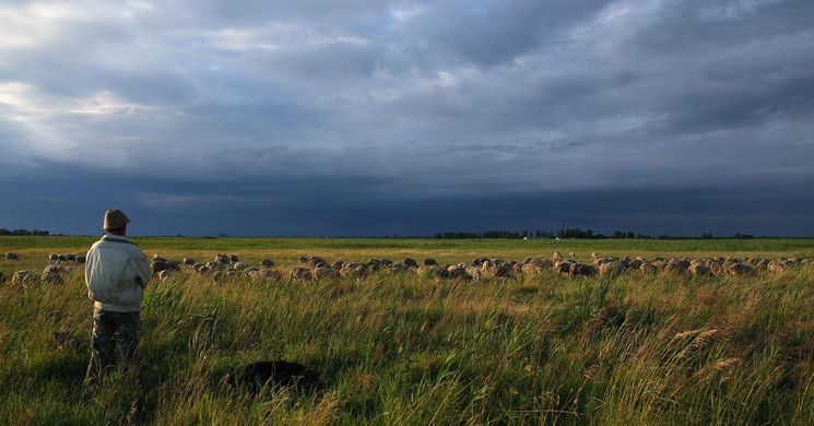 Tápió-vidék program 2026