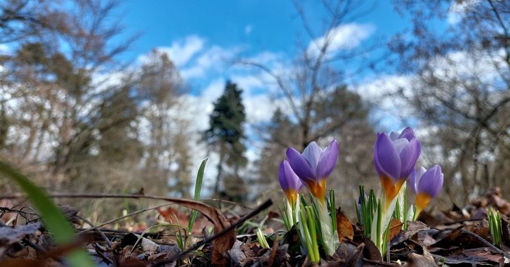 Nemzeti Botanikus Kert programok 2026 Vácrátót