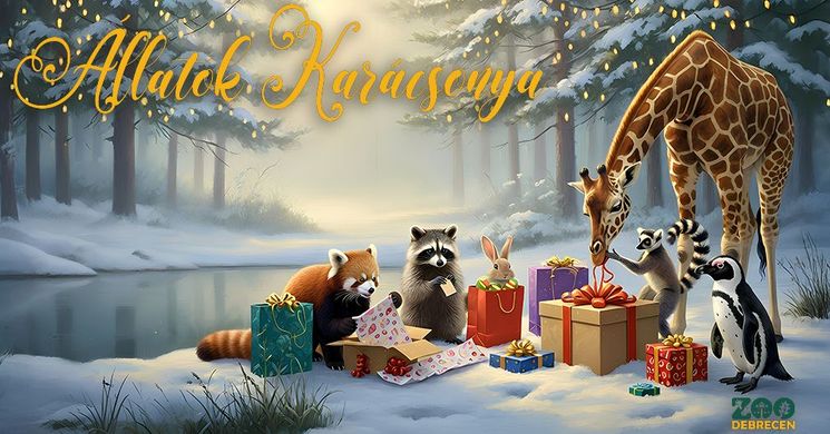 Állatok Karácsonya Debrecen 2025