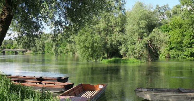 Rácalmási programok 2026. Fesztiválok, rendezvények, események