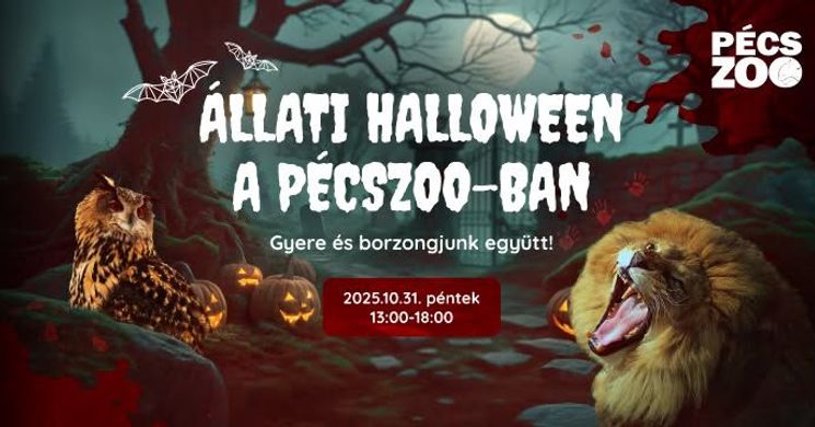 Pécsi állatkert Halloween 2025