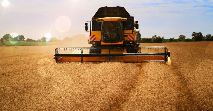 Aratófesztivál Kerekegyháza 2026