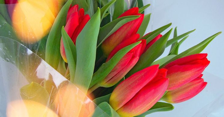 Nőnapi Koncert Püspökladány 2026