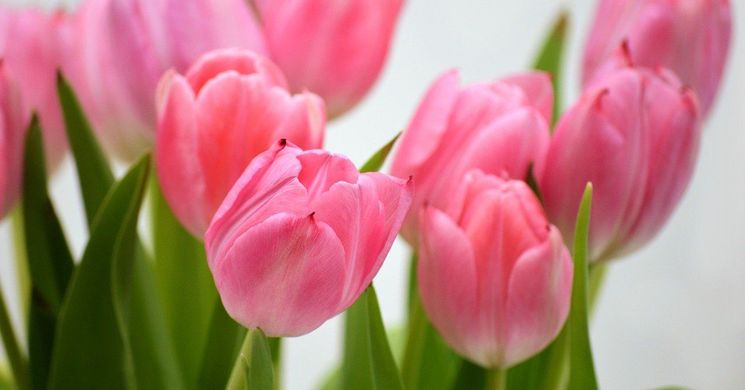 Nőnap Oroszlány 2026