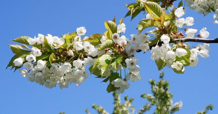 Nyíregyháza Húsvét 2026 - Ünnepi programok, események, rendezvények