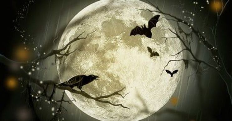 Halloween Eger 2025