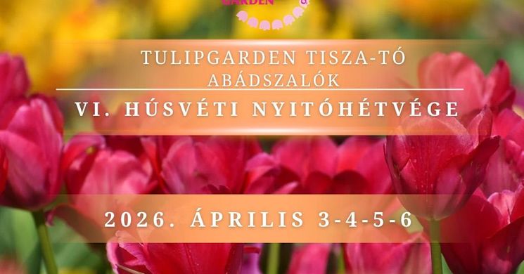 Tulipánszüret Tisza-tó 2026 Abádszalók