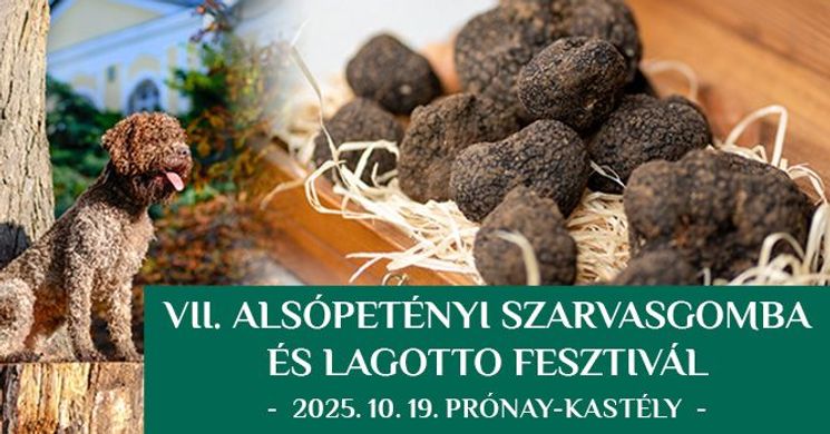 Szarvasgomba Fesztivál Alsópetény 2025. Szarvasgomba és Lagotto Fesztivál