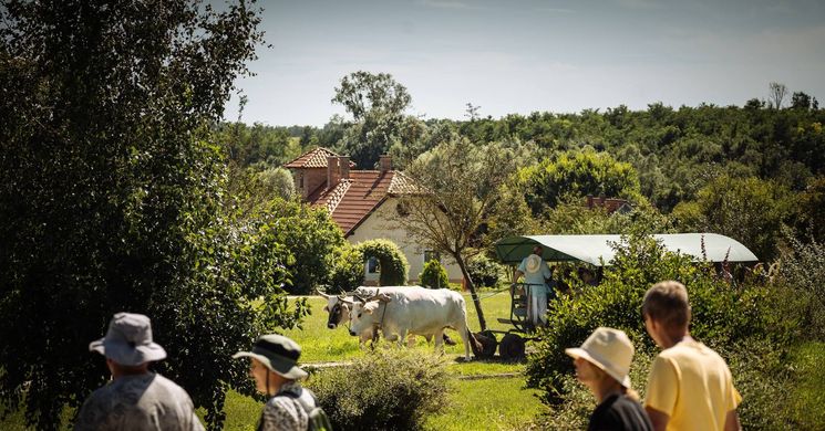 Krisna-völgy programok 2026. Fesztiválok, események, rendezvények