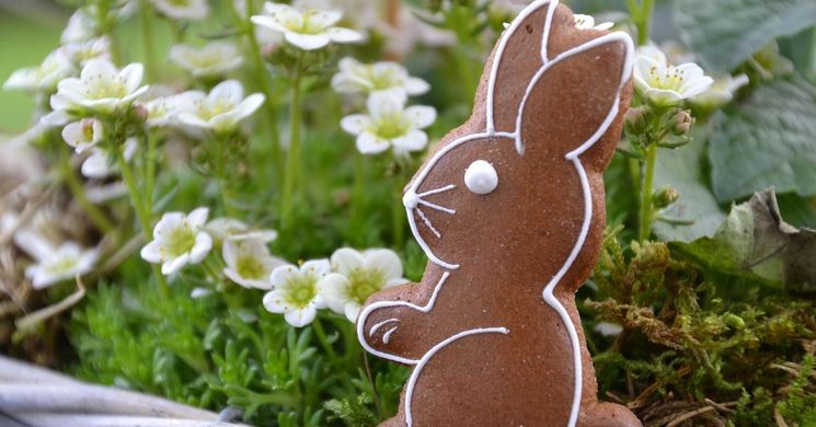 Kalocsa vásár 2026 - Húsvéti Kultúrpiac