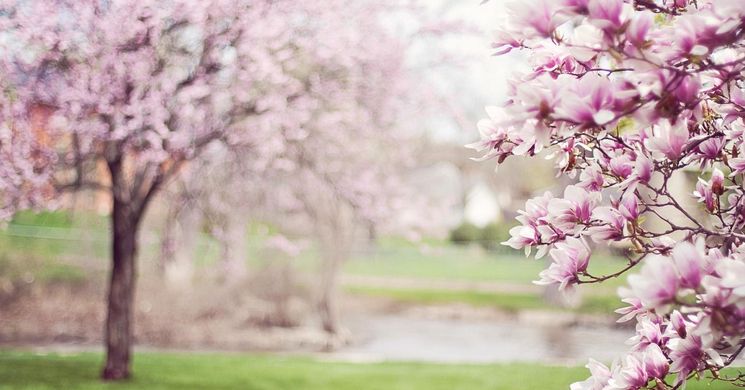 Tavaszköszöntő Harkány 2026 - Tavaszváró Terehegyen