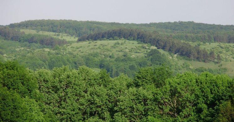 Bakonyi kirándulás 2025. Fedezze fel Bakonybél természeti értékeit!