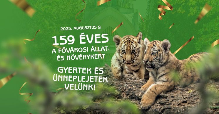 Állatkerti Fesztivál  Budapest 2025. Az állatkert 159. születésnapja