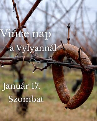 Vince-nap Kisharsány 2026. Vince-nap a Vylyan Teraszon