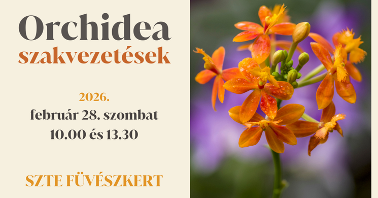 Tematikus szakvezetések Szegeden az orchidea gyűjteményben, várjuk a Füvészkertben