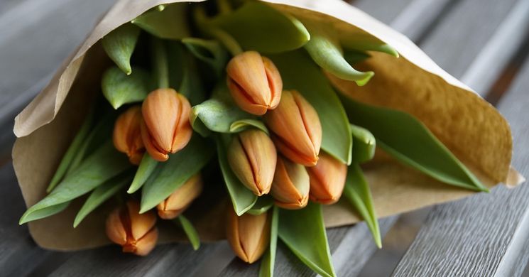 Városi Nőnap Dombóvár 2026