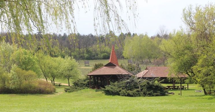 Madarak és Fák Napja Pákozd 2026