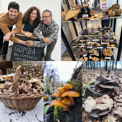 Gombavizsgálat Szombathely 2026