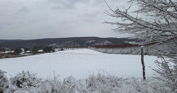 Bakonyi Télűző 2026 Németbánya - Bakonyjákó