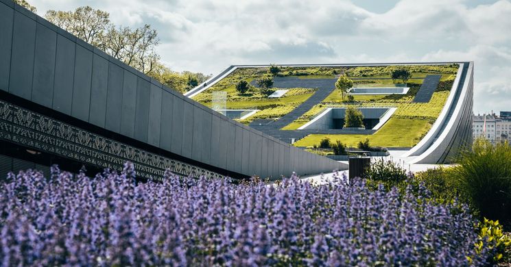 A Néprajzi Múzeum Napja 2026 Budapest - Őrzött tájak, élő tudás