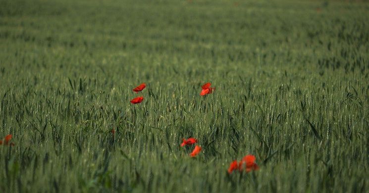 Agrárium Konferencia 2026 Kecskemét