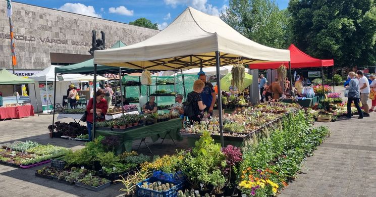 Florens Expo 2026 Miskolc. Otthon, kert, szabadidő nagy régiós kiállítás és vásár