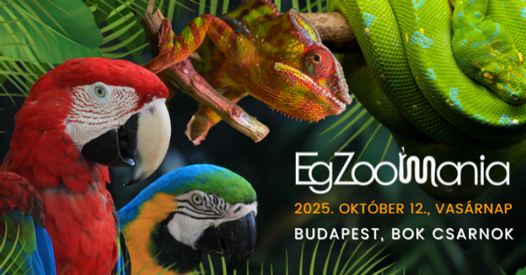 Egzotikus állatok Budapesten 2025. Egzoo Mánia állatvásár és kiállítás
