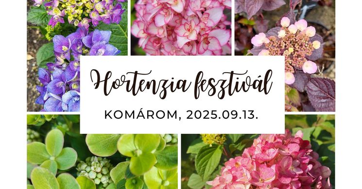 Hortenzia Fesztivál 2025 Komárom