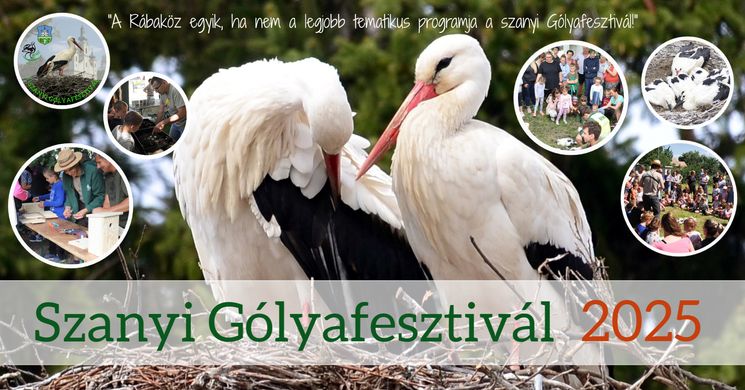 Szanyi Gólyafesztivál 2025