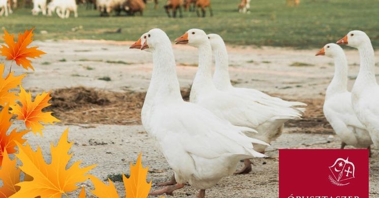 Márton-nap Ópusztaszer 2025