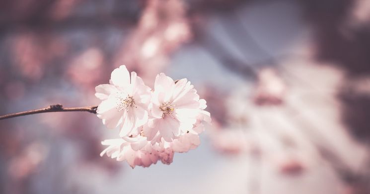 Tavaszi Művészeti Napok Hajdúszoboszló 2026