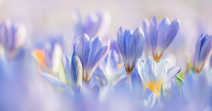 Tatabányai Tavaszi Fesztivál 2026