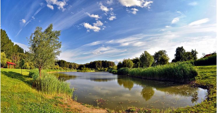 Dunaszegi programok 2026 - Események, rendezvények