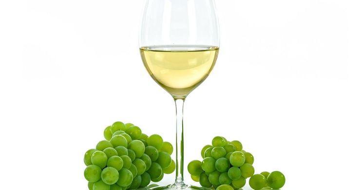 Márton-napi borünnep Zsámbék 2025. Nyitott pincék finom borokkal a Szuszogó pincesoron