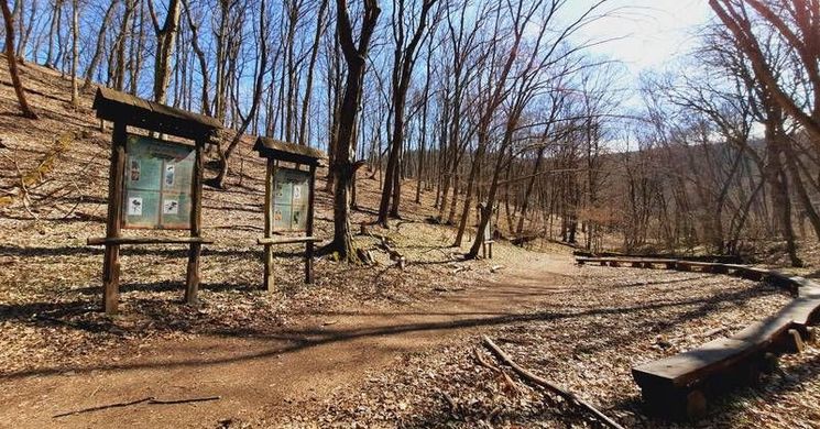 Vöröskő-völgyi erdei tanösvény túra Felsőtárkányban