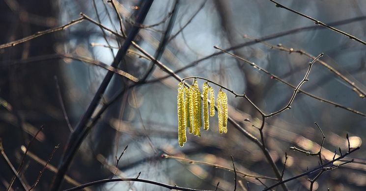 Februári programok 2026 - Események, rendezvények