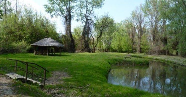 Tiszafüred túra 2026 - Gyalogtúra és csónaktúra a Tisza-tónál