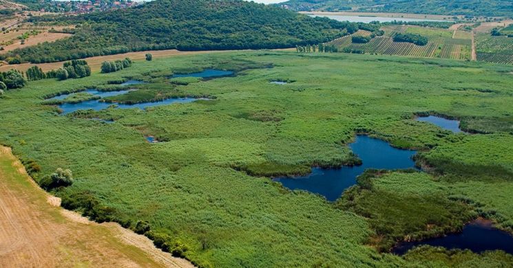 Gejzírmező túra a Tihanyi-félszigeten, a Balaton-felvidéki Nemzeti Parkban