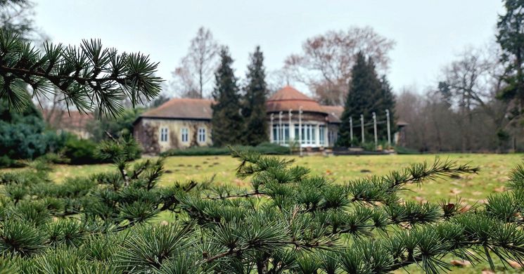 Vácrátóti arborétum látogatás a Nemzeti Botanikus Kertben