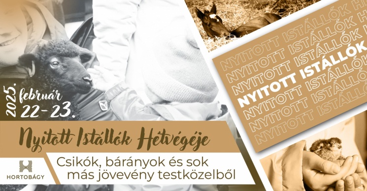Nyitott istállók Hortobágy 2025. Családi hétvége csikókkal, bárányokkal és más állatkölykökkel
